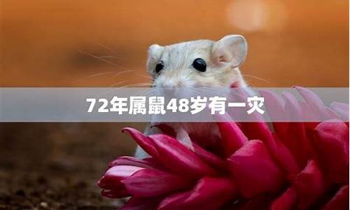 72年属鼠52岁有一灾2024年这一灾能闯过去吗-72年属鼠有一灾能不能过去20