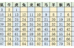 2022年十二生肖数字表-20