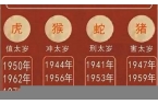 2023年属相运势大全男最新