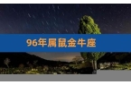 96年属鼠星座-96年鼠什么星