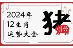 亥猪2024年运势如何-亥猪今