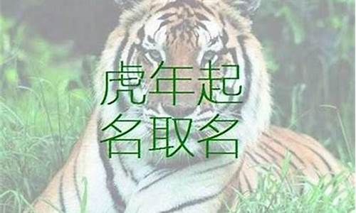 生肖虎取名适合用字-属虎名字用字