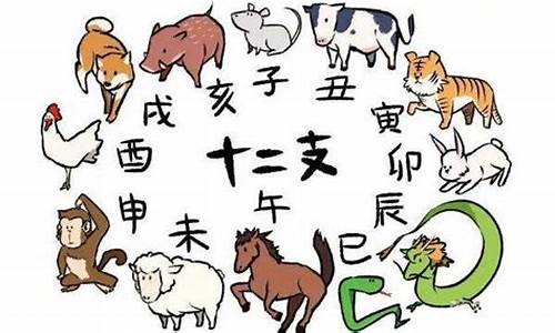 生肖兔是哪些年份-生肖兔都是哪年的